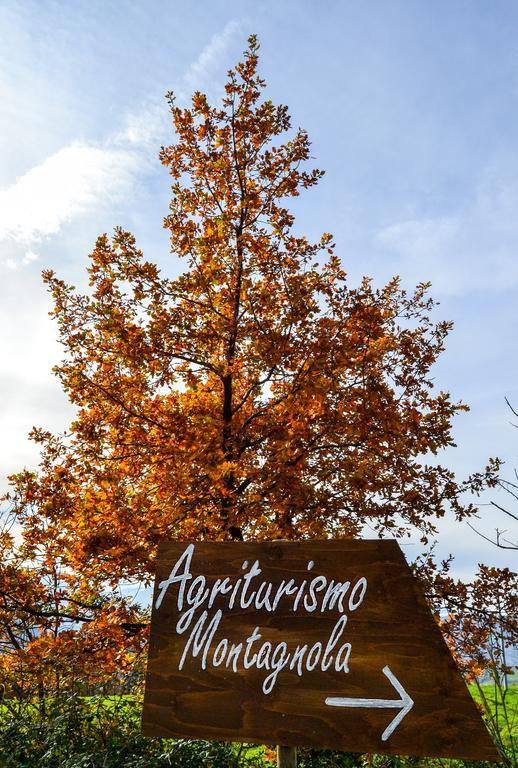 Вилла Agriturismo Montagnola Abruzzo Casalanguida Экстерьер фото