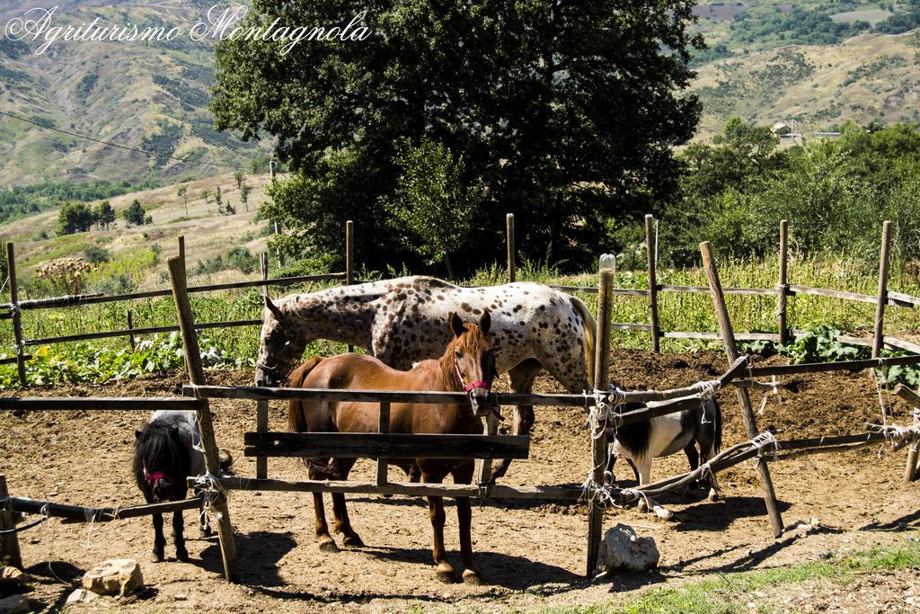 Вилла Agriturismo Montagnola Abruzzo Casalanguida Экстерьер фото